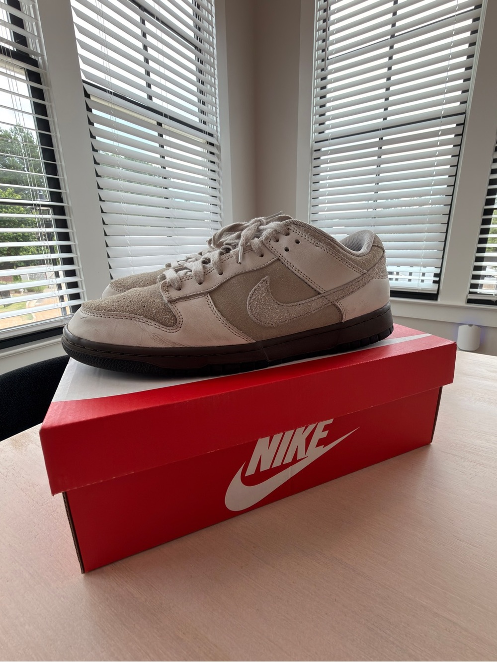 Nike Dunk IronStone Low Retro Sneakers in Beige and Black - Size 11.5